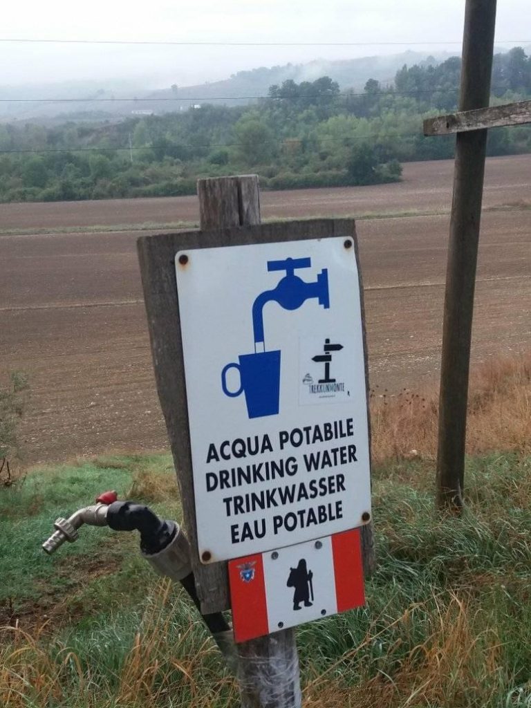 Hai mai dovuto potabilizzare? Sondaggio e risultati